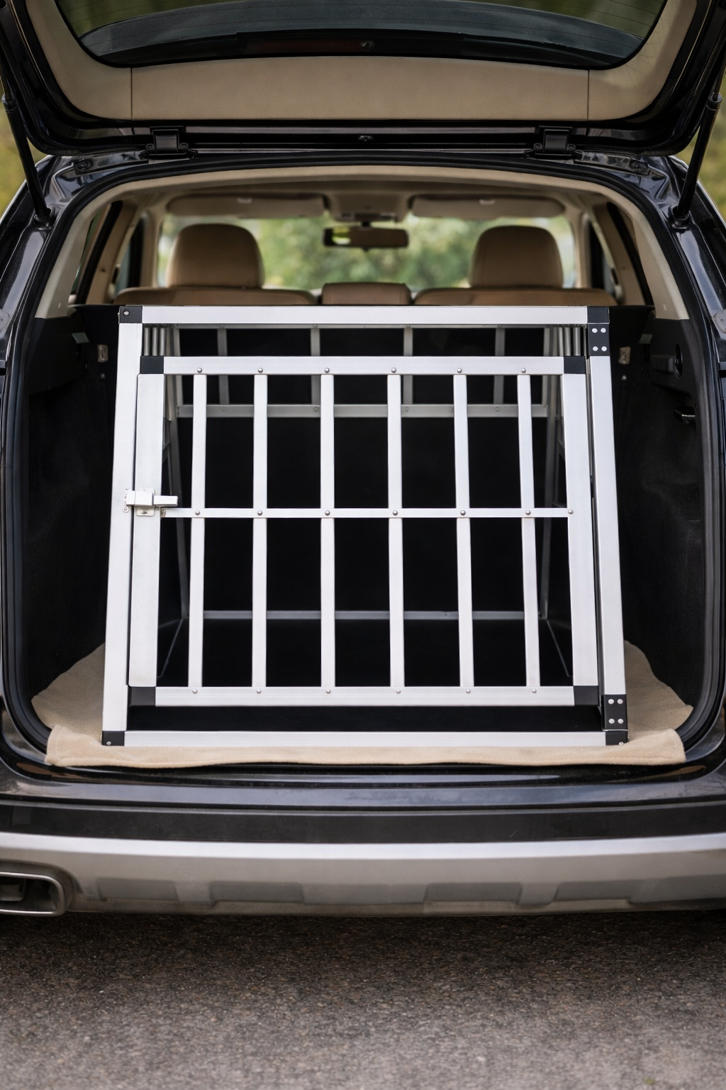 MoveSafe Transportbox
