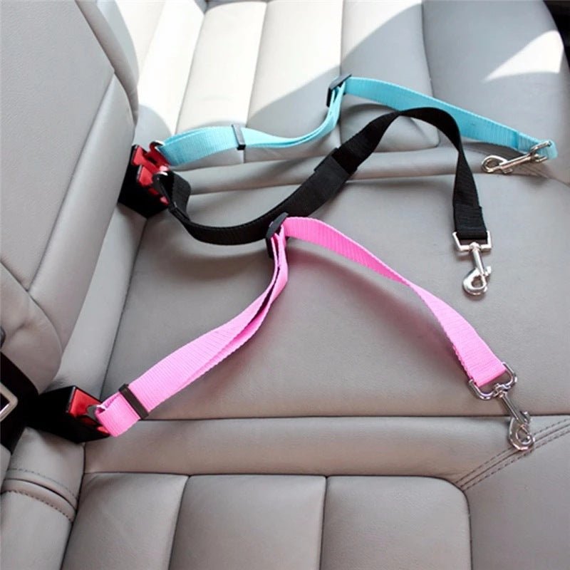 DriveGuard Sicherheitsgurt