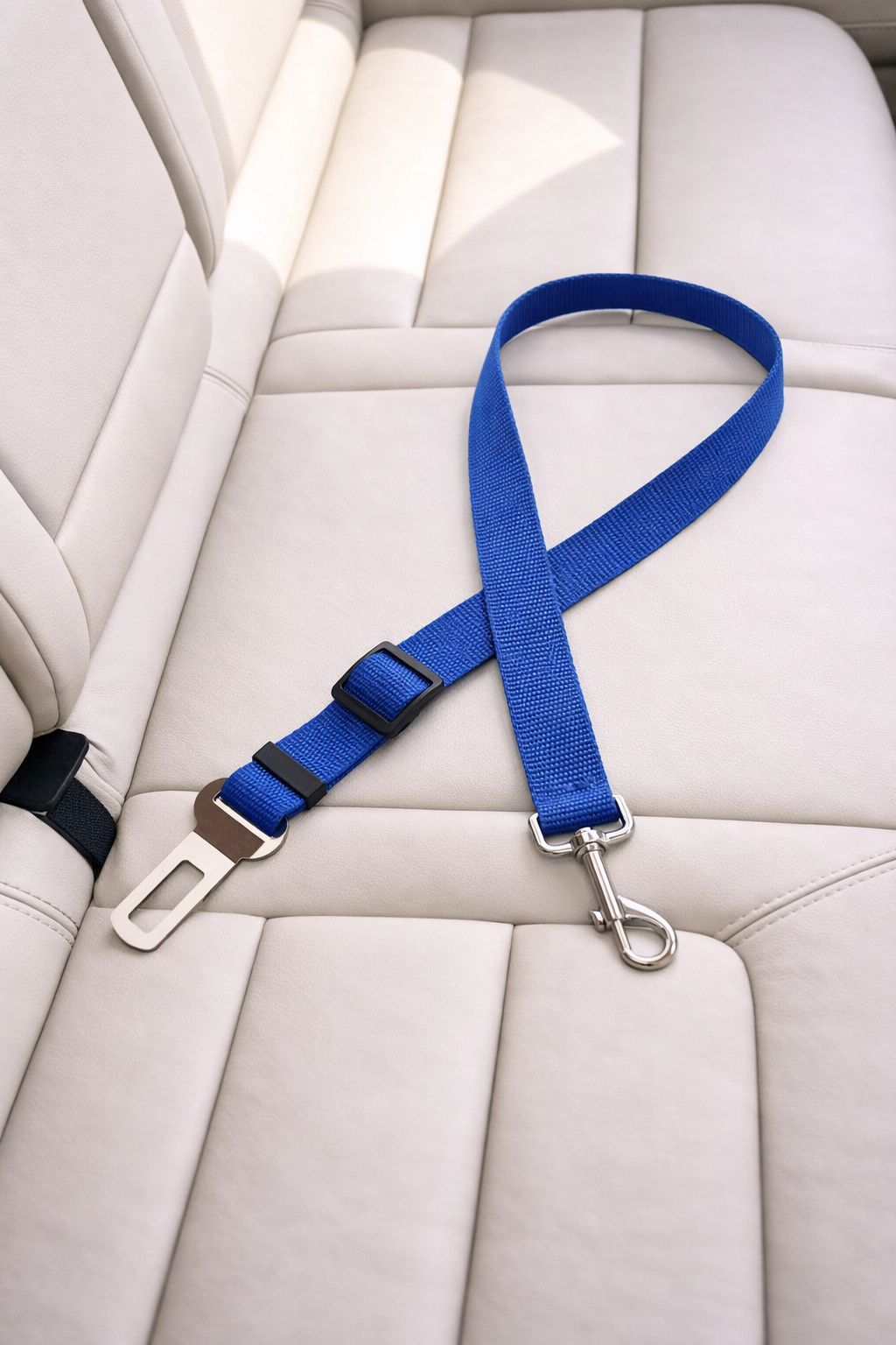 DriveGuard Sicherheitsgurt